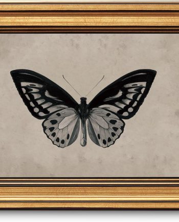 Vintage Gold Framed Wall Art for Living Room, Black Butterfly Canvas Prints Home Decor, Halloween Gothic Painting Picture, Bedroom Wall Decor Gifts for Friends or Family -(10L x 8W)